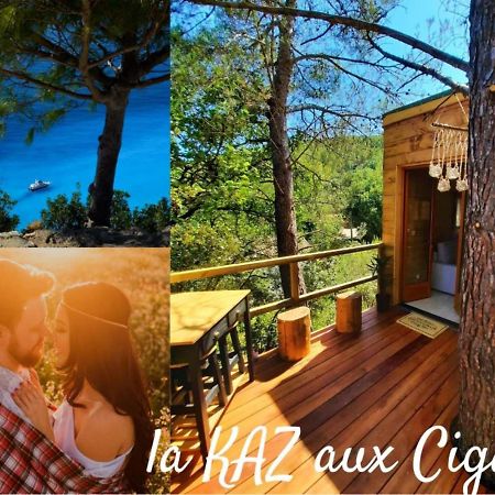 Cabane Dans Les Arbres "La Kaz Aux Cigales" Cuers Bagian luar foto