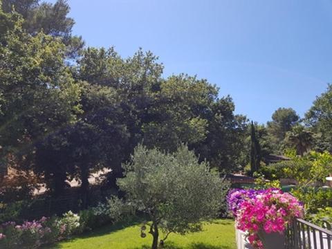 Cabane Dans Les Arbres "La Kaz Aux Cigales" Cuers Bagian luar foto