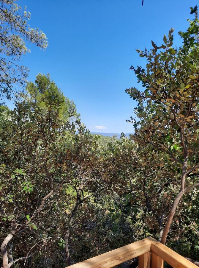 Cabane Dans Les Arbres "La Kaz Aux Cigales" Cuers Bagian luar foto