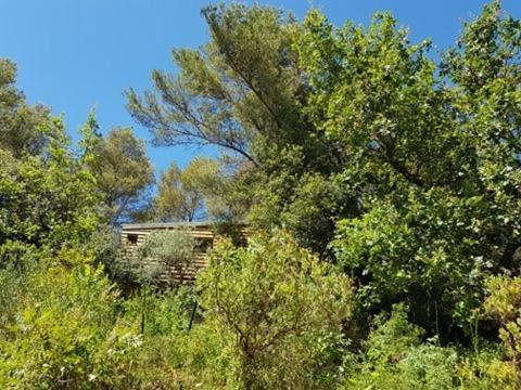 Cabane Dans Les Arbres "La Kaz Aux Cigales" Cuers Bagian luar foto