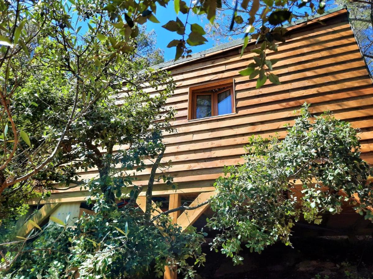 Cabane Dans Les Arbres "La Kaz Aux Cigales" Cuers Bagian luar foto